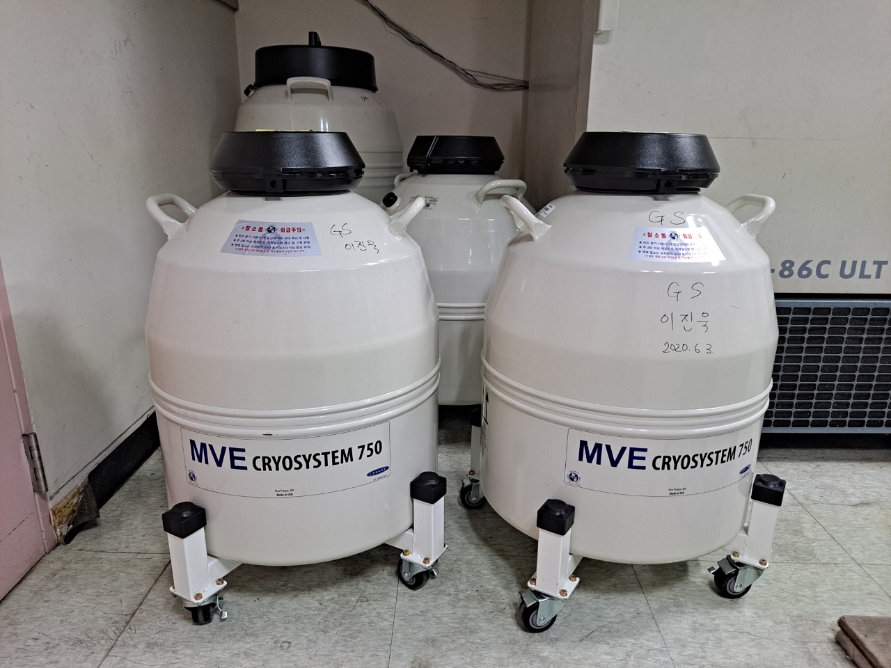 mve cryosystem